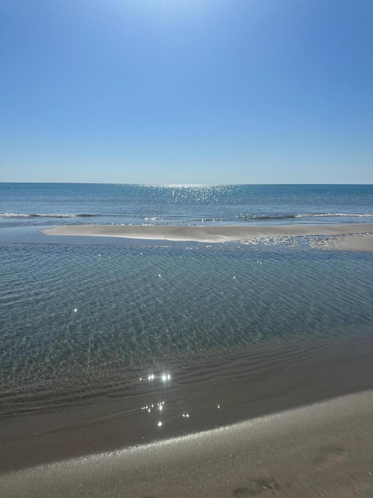 Endless Summer *
